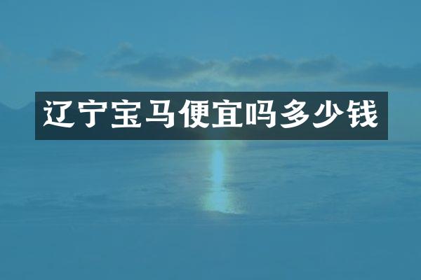 辽宁宝马便宜吗多少钱