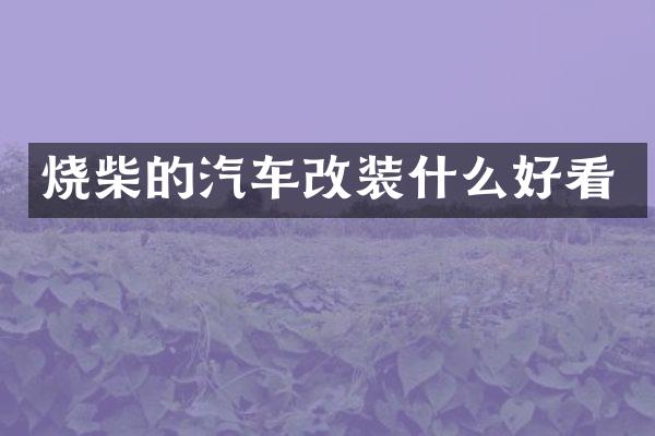 烧柴的汽车改装什么好看