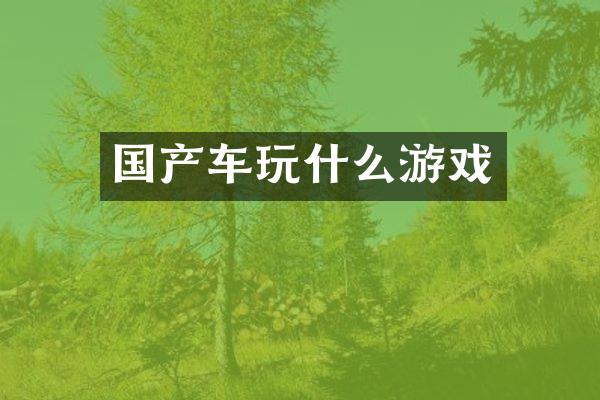 国产车玩什么游戏