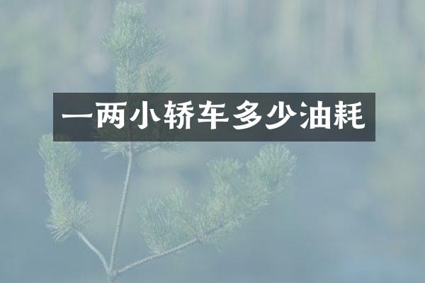 一两小轿车多少油耗