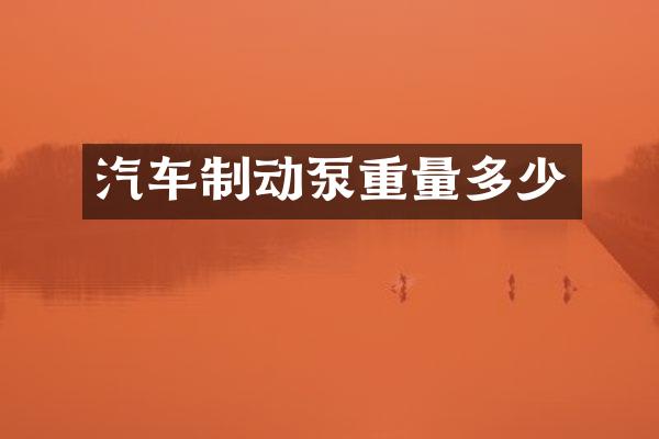 汽车制动泵重量多少