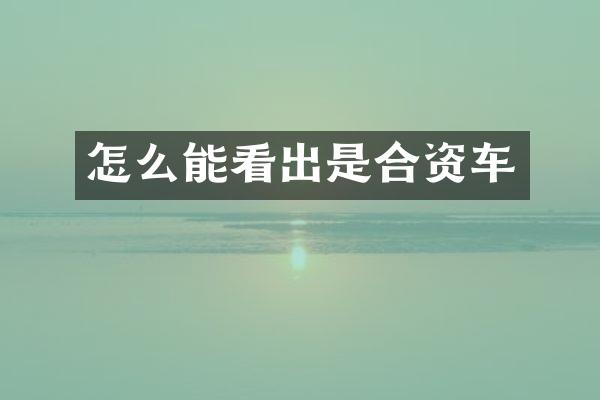 怎么能看出是合资车