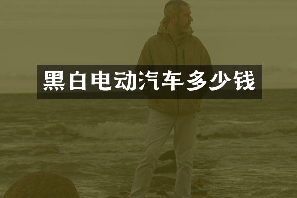 黑白电动汽车多少钱