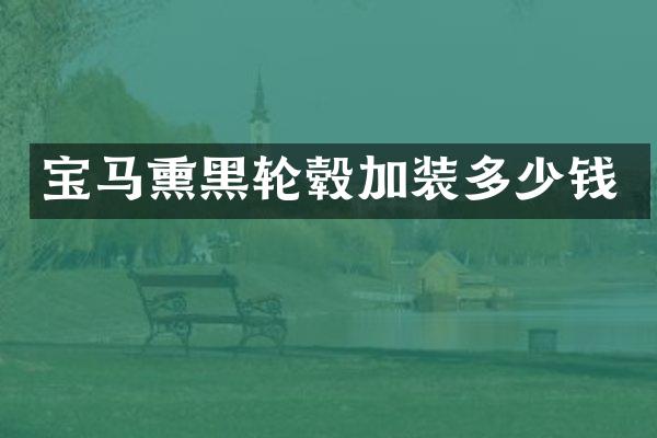 宝马熏黑轮毂加装多少钱