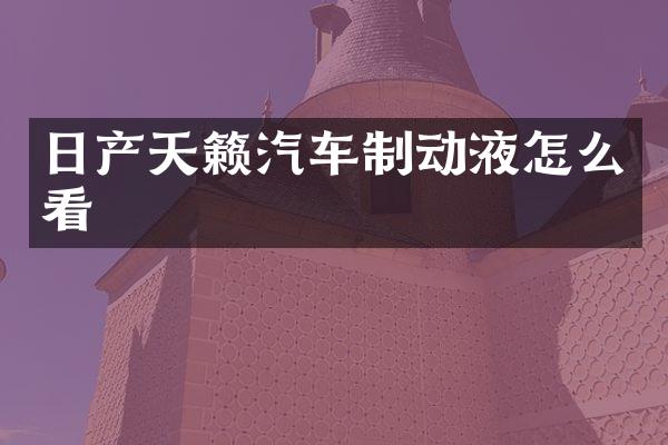 日产天籁汽车制动液怎么看