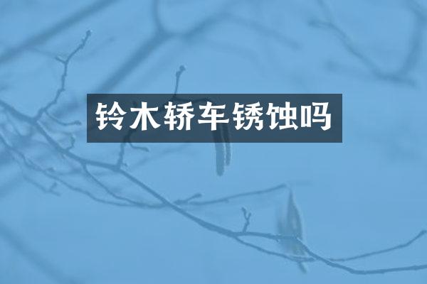 铃木轿车锈蚀吗