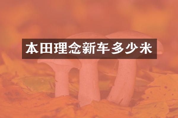 本田理念新车多少米