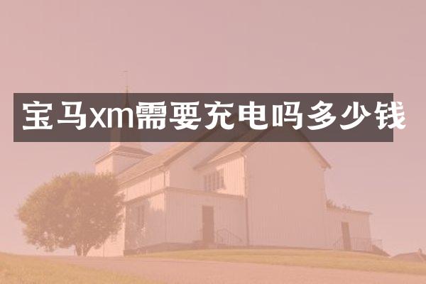 宝马xm需要充电吗多少钱