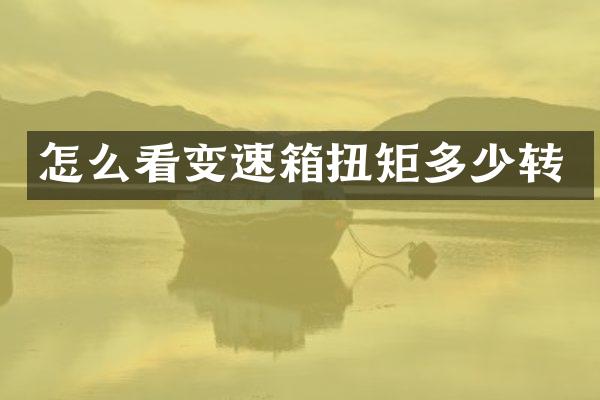 怎么看变速箱扭矩多少转