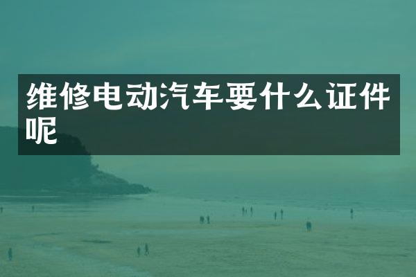 维修电动汽车要什么证件呢