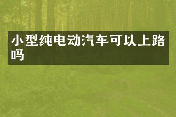 小型纯电动汽车可以上路吗