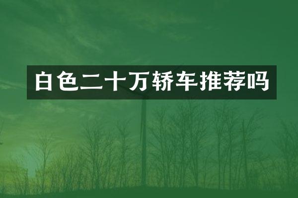 白色二十万轿车推荐吗