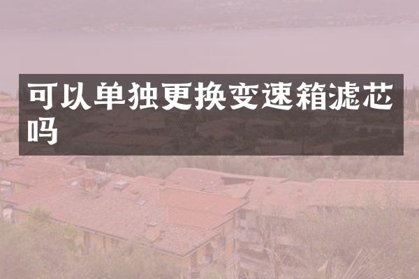 可以单独更换变速箱滤芯吗
