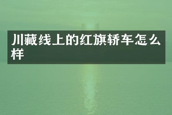 川藏线上的红旗轿车怎么样