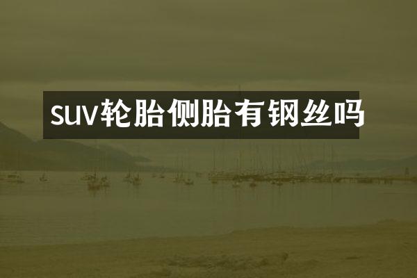 suv轮胎侧胎有钢丝吗