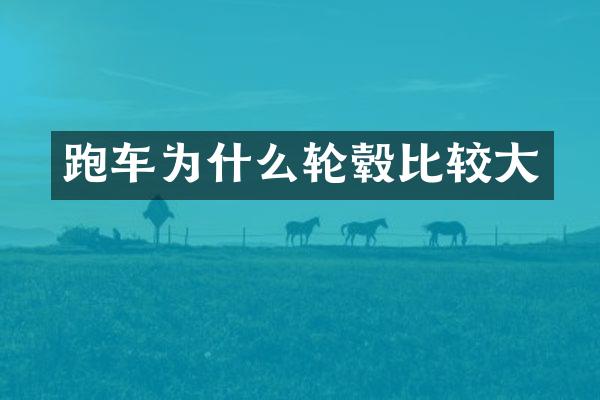 跑车为什么轮毂比较大