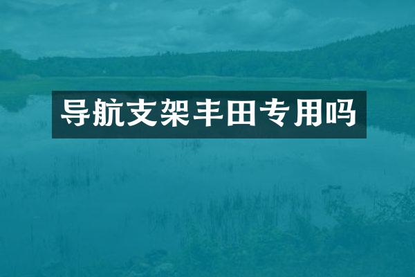 导航支架丰田专用吗