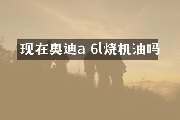 现在奥迪a 6l烧机油吗