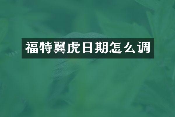 福特翼虎日期怎么调