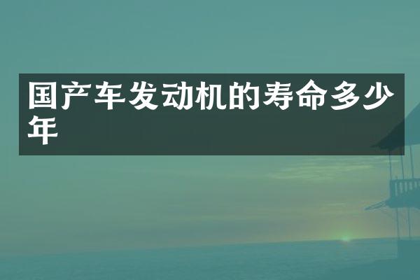国产车发动机的寿命多少年