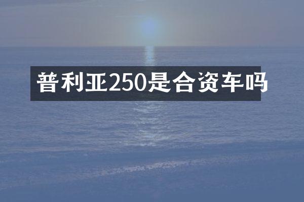 普利亚250是合资车吗