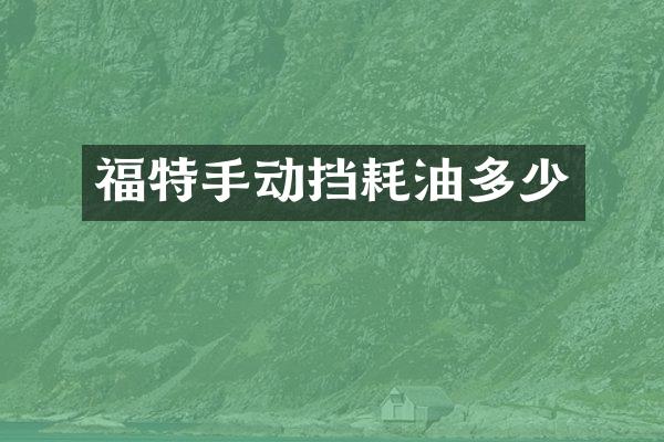 福特手动挡耗油多少