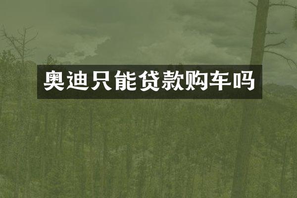 奥迪只能贷款购车吗