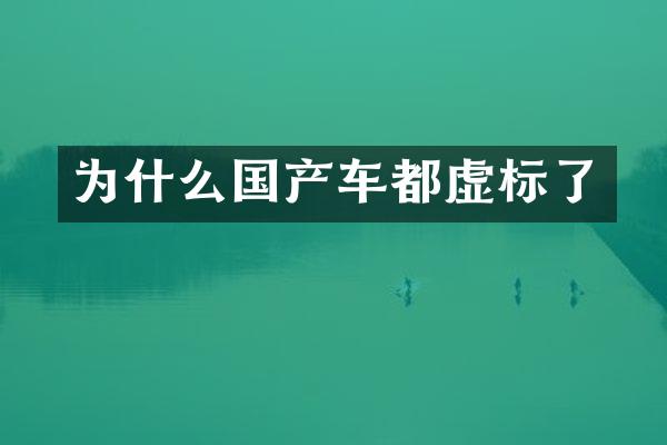 为什么国产车都虚标了