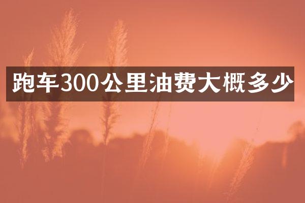 跑车300公里油费大概多少