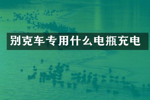 别克车专用什么电瓶充电