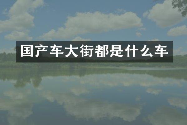 国产车大街都是什么车