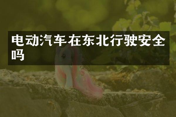 电动汽车在东北行驶安全吗