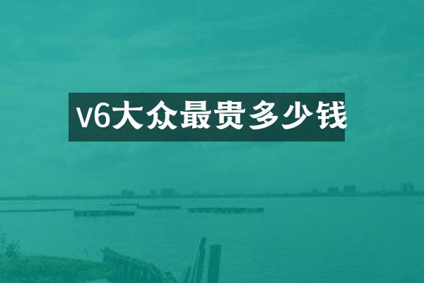 v6大众最贵多少钱