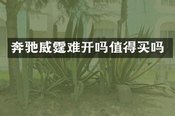 奔驰威霆难开吗值得买吗