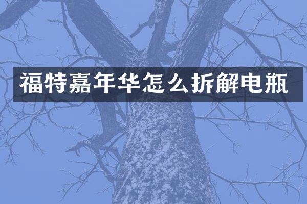 福特嘉年华怎么拆解电瓶