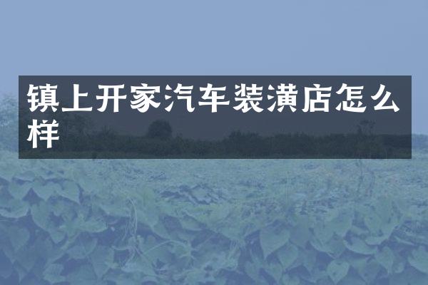 镇上开家汽车装潢店怎么样