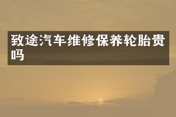 致途汽车维修保养轮胎贵吗