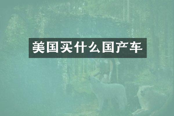 美国国产车