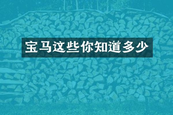 宝马这些你知道多少