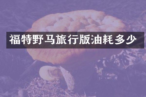 福特野马旅行版油耗多少