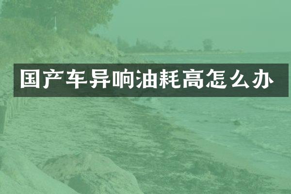 国产车异响油耗高怎么办