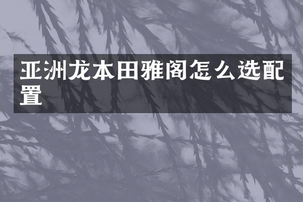 亚洲龙本田雅阁怎么选配置
