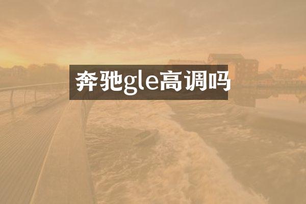 奔驰gle高调吗