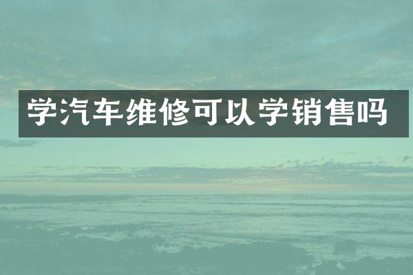 学汽车维修可以学销售吗