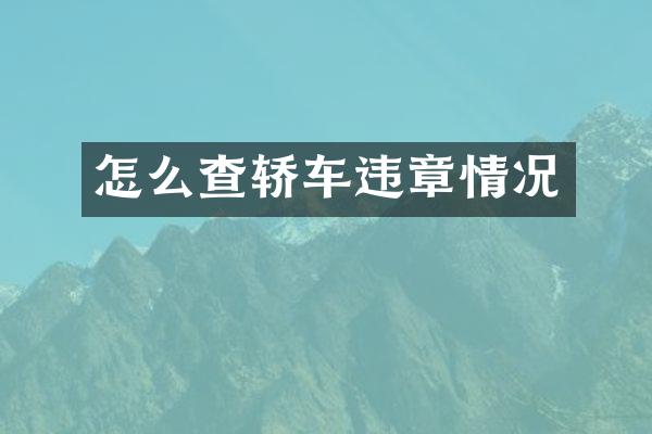 怎么查轿车违章情况