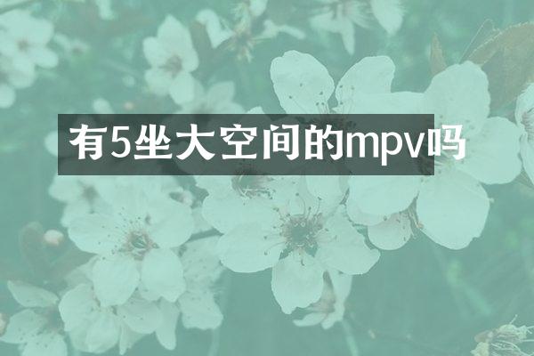 有5坐大空间的mpv吗