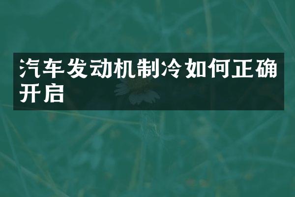 汽车发动机制冷如何正确开启
