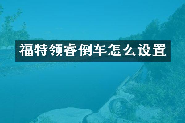 福特领睿倒车怎么设置