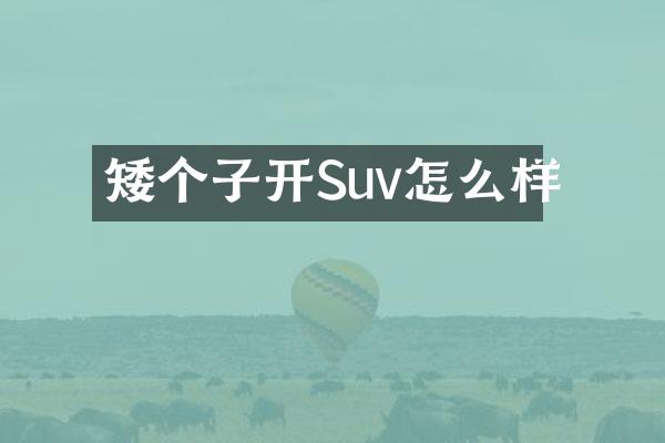 矮个子开Suv怎么样