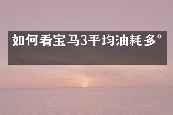 如何看宝马3平均油耗多少